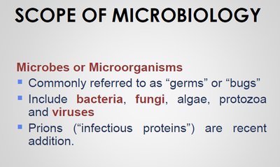 Scope of microbiology slide showing types of microbes