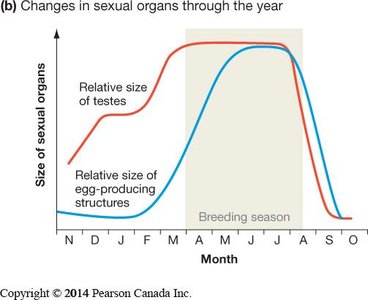 Graph showing percentage of females with mature follicles under different conditions