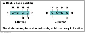 Double bond position in carbon skeletons