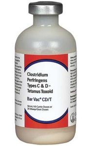 Clostridium perfringens CD&T vaccine