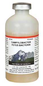 Campylobacter vaccine