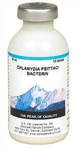 Chlamydia vaccine