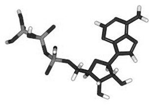 ATP structure