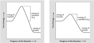 Activation energy graph