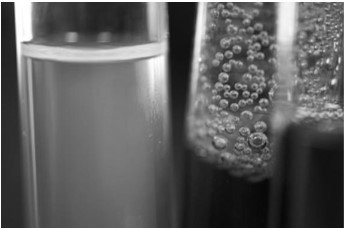 Enzyme concentration experiment