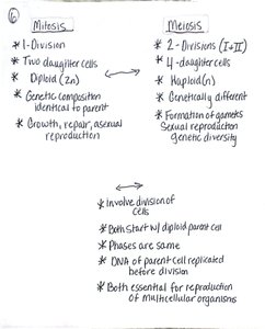 Comparison of mitosis and meiosis