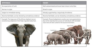 Comparison of hypothesis and theory with elephant examples