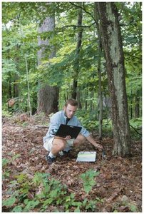Field researcher conducting an observational study