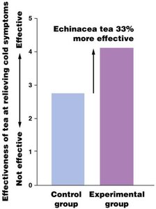 Bar graph showing echinacea tea 33% more effective