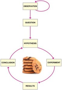 Scientific method flowchart with cookies example