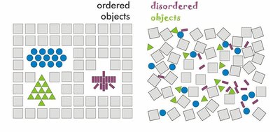 Diagram showing order and disorder in biological systems