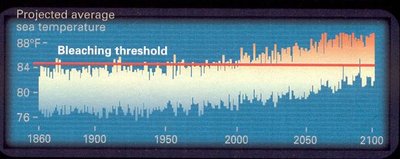 Arctic sea ice boundary reduction since 1979