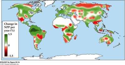 Global map of changes in terrestrial NPP
