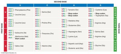 Genetic code table