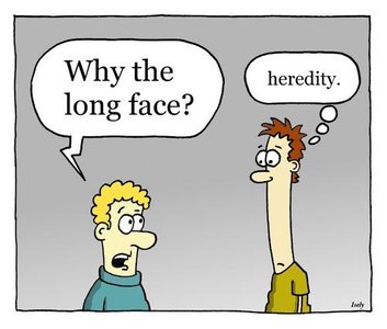 Cartoon illustrating heredity as the cause of a long face