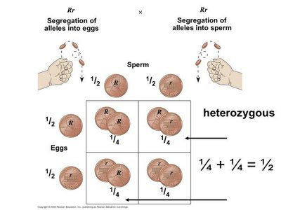 Addition rule in probability