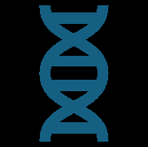 Overview of meiosis