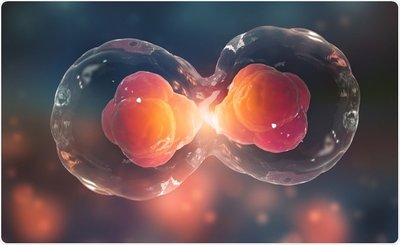 Diagram of binary fission, mitosis, and meiosis