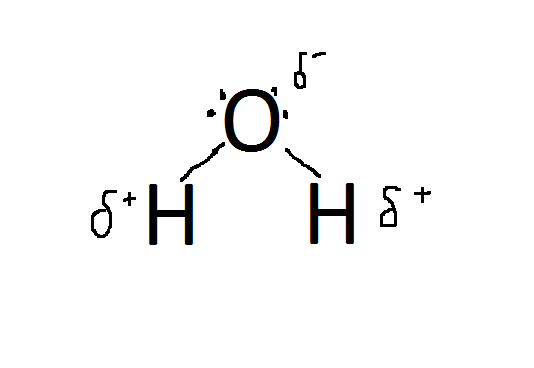 Polar covalent bonds in water molecule