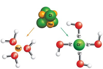 Dissociation of NaCl in water