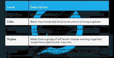 Table of cell and organ levels of organisation