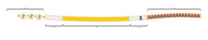5' cap and poly(A) tail on mRNA