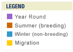 Legend for White-crowned Sparrow migration map