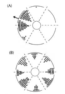 Solar compass orientation diagrams