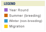 Legend for Rufous Hummingbird migration map