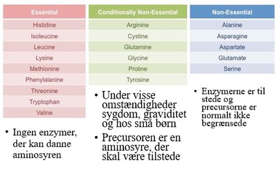 Essentielle aminosyrer