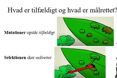 Mutationer og selektion