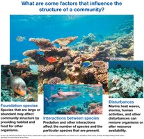 Factors influencing community structure: foundation species, interactions, disturbances