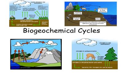 Diagram of biogeochemical cycles