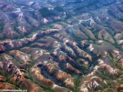 Aerial view of deforestation
