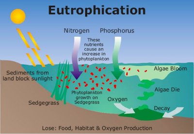 Eutrophication diagram