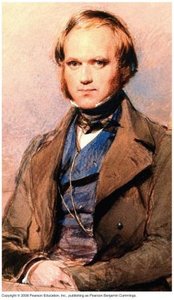 Darwin's finches and natural selection