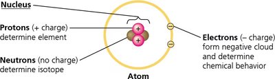 Structure of an atom showing nucleus, protons, neutrons, and electrons