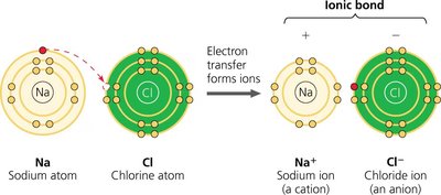 Formation of ionic bond between sodium and chlorine