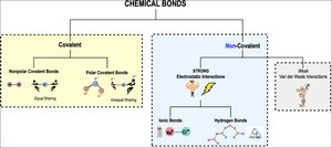 Diagram illustrating types of chemical bonds: covalent (nonpolar and polar), ionic, hydrogen, and van der Waals interactions