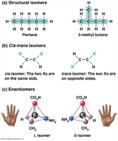 Diagram showing structural isomers, cis-trans isomers, and enantiomers