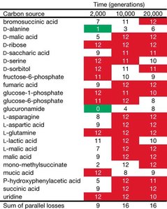 Table of E. coli adaptation to different carbon sources