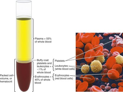 Blood composition and cellular elements