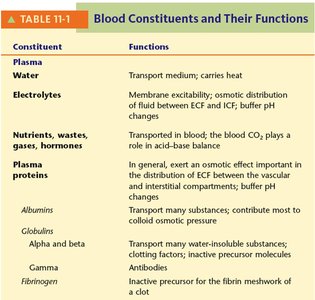 Blood constituents and their functions