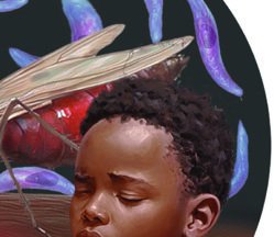 Laminaria life cycle