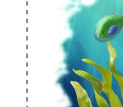 Laminaria life cycle