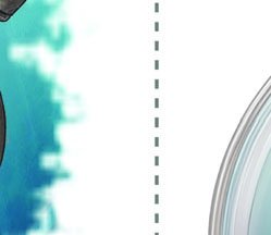 Laminaria life cycle