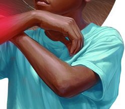 Laminaria life cycle