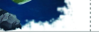 Laminaria life cycle