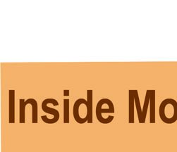 Plasmodium life cycle (malaria)