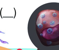 Plasmodium life cycle (malaria)